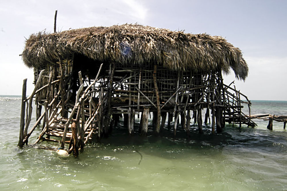 Pelican Bar - Fly High Taxi and Tours Jamaica - www.FlyHighTaxiAndToursJamaica.com - www.FlyHighTaxiAndToursJamaica.net